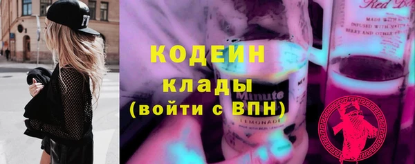 прущие грибы Арсеньев