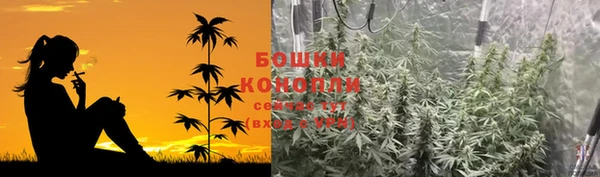 прущие грибы Арсеньев