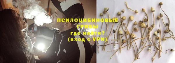 прущие грибы Арсеньев