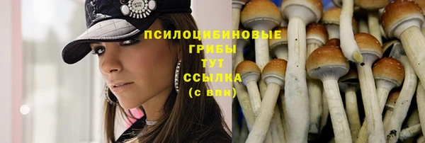 прущие грибы Арсеньев