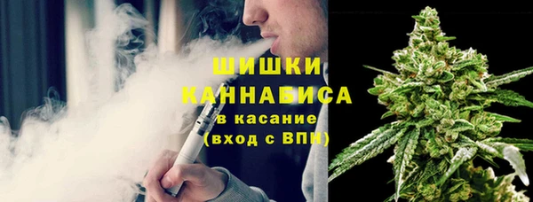 прущие грибы Арсеньев